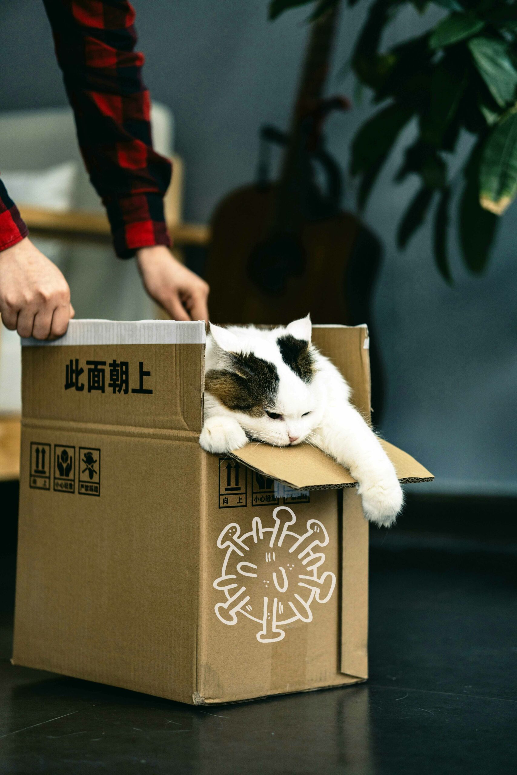 Image d'illustration d'un déménagement conséquent du COVID, influenceur